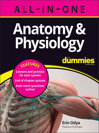 Anatomy & Physiology All-in-One For Dummies (Original PDF)