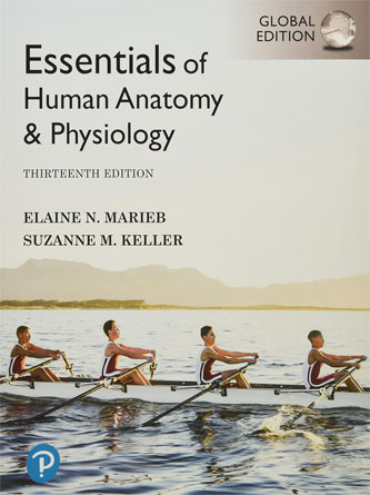 Essentials of Human Anatomy & Physiology 13th Edition (Original PDF)