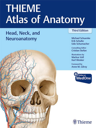 Head, Neck, and Neuroanatomy (THIEME Atlas of Anatomy) (Original PDF)