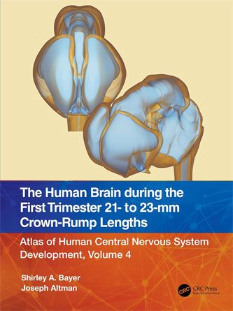 The Human Brain during the First Trimester 21- to 23-mm Crown-Rump Lengths: Atlas of Human Central Nervous System Development, Volume 4 (PDF Publisher)