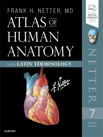 Atlas of Human Anatomy: Latin Terminology: English and Latin Edition (Netter Basic Science), 7th Edition (Original PDF)