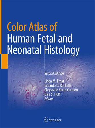 Color Atlas of Human Fetal and Neonatal Histology, 2nd Edition (PDF)