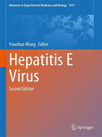 Hepatitis E Virus (Advances in Experimental Medicine and Biology, 1417), 2nd Edition (PDF)