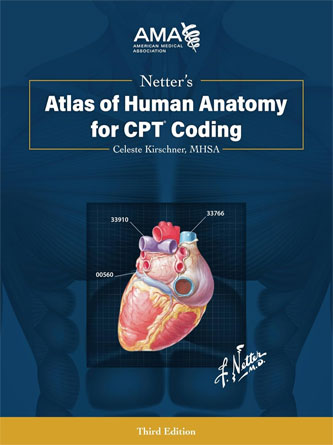 Netter’s Atlas of Human Anatomy for CPT Coding, Third Edition (EPUB)