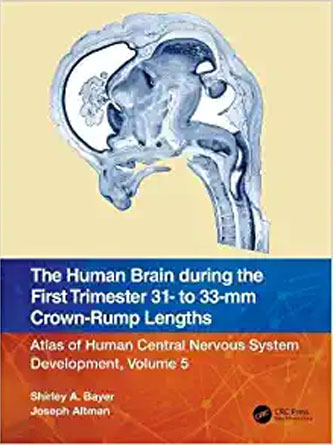 The Human Brain during the First Trimester 31- to 33-mm Crown-Rump Lengths: Atlas of Human Central Nervous System Development, Volume 5 (PDF)