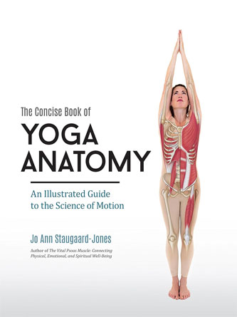 The Concise Book of Yoga Anatomy: An Illustrated Guide to the Science of Motion (EPUB)