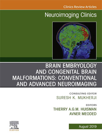 Brain Embryology and the Cause of Congenital Malformations, An Issue of Neuroimaging Clinics of North America (Volume 29-3) (The Clinics: Radiology, Volume 29-3) (PDF Publisher)