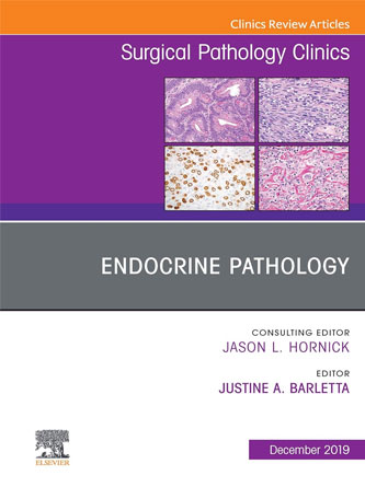 Endocrine Pathology, An Issue of Surgical Pathology Clinics (Volume 12-4) (The Clinics: Surgery, Volume 12-4) (PDF)