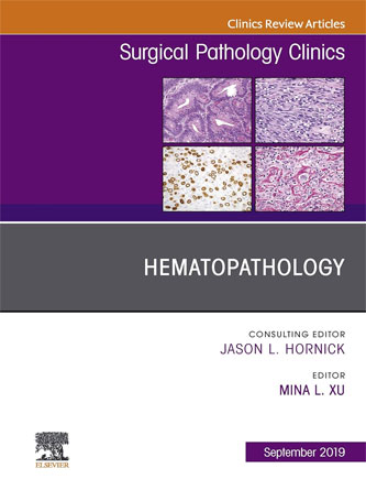 Hematopathology, An Issue of Surgical Pathology Clinics (Volume 12-3) (The Clinics: Surgery, Volume 12-3) (PDF)