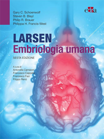 Larsen – Embriologia umana: VI Edizione (Italian Edition) (EPUB)