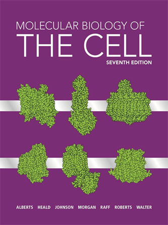 Molecular Biology of the Cell ,7th Edition (Original PDF)