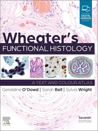 Wheater’s Functional Histology, 7th edition (Original PDF)