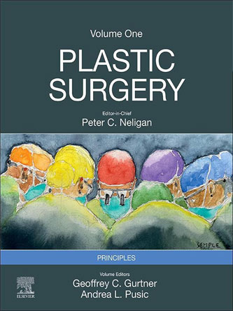 Plastic Surgery: Volume 1 Principles 5th Edition (PDF)