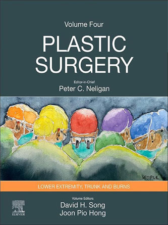 Plastic Surgery: Volume 4: Trunk and Lower Extremity 5th Edition (PDF)