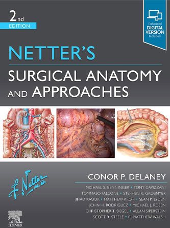 Netter's Surgical Anatomy and Approaches 2st Edition (PDF)