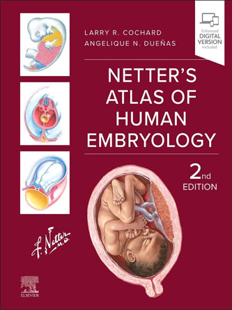 Netter’s Atlas of Human Embryology, 2nd Edition (True PDF From Publisher)